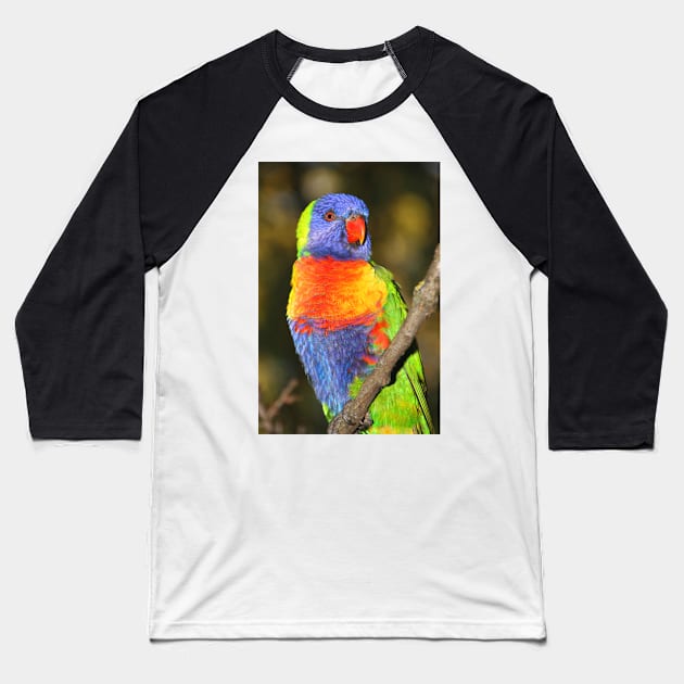 Rainbow Lorikeet #1 Baseball T-Shirt by Carole-Anne